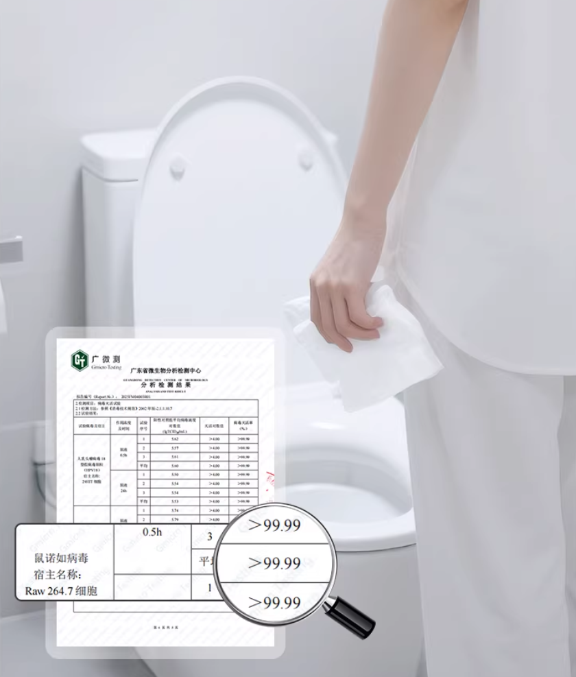 Toilet Cleaning Wipes